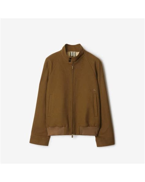 Cashmere Harrington Jacket in Shrew 